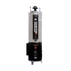 Fischer Hybrid (Electric Gas Geyser) 35 Gallon